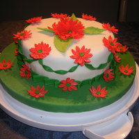 Christmas Daiseies Everything is fondant on this cake.