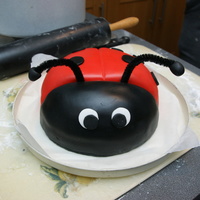 Ladybird My second attempt at a ladybird. Made for my kids' school fete. Great fun to make & very easy!