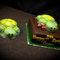 Turtle Cake A turtle birthday cake for a 1 year old little boy with a matching smash cake