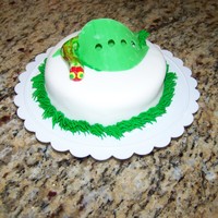 The Very Hungry Caterpillar --Smash Cake This is a smash cake for a 1 year old birthday party. I made the leaves out of fondant and punched 5 holes in it to represent the story. I...