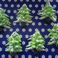 Chrismas Trees 