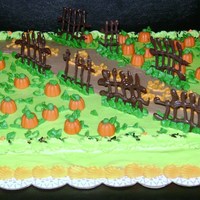 Pumpkin Patch Pumpkin Patch cake I made for a local charity.