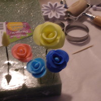 First Attempt At Flowers..lol 