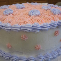 Wilton Level 2 Cake 8" round