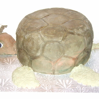 Turtle Cake 10 in rounds carved and covered in buttercream. Head is RKT with buttercream and feet and tail are fondant.