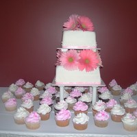 Gerberas And Cuppies This is a square two tier MMF covered wedding cake with pink ribbon around the tiers and Gerberas between and on top. There are also 50...