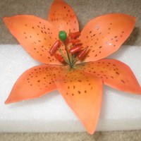 Tiger Lily!!! My first attempt at a tiger lily....I was just going to take a pic when my three year old daughter knocked off a petal....so had to repair...