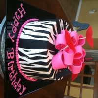 Zebra 