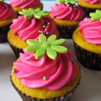 Fuchsia Buttercream With Green Rose 