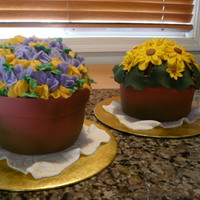 Flower Pot Cakes Pots are fondant covered cakes, Pansy is buttercream (urrgggggg I hate piping) and the yellow daisy cake is all fondant. A little green...