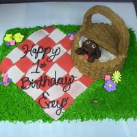 Going On A Picnic This is a chocolate cake with buttercream icing. The blanket, dog, and worm are fondant, and the flowers are royal icing. The picnic basket...