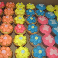 Butterflys & Flowers 