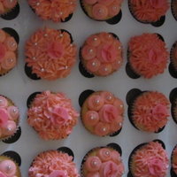 Cupcakes For The Cure 2010 