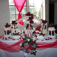 Red And White Quince 