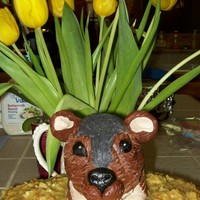 Ground Hog's Day He is made out of rice crispy treats covered in modeling chocolate