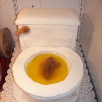 Heres To Winning Sh*t All cake and fondant, buttercream bowl with yello jello :) ans a sqashed up brownie!!