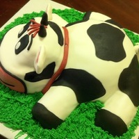 Cow Cake cow cake