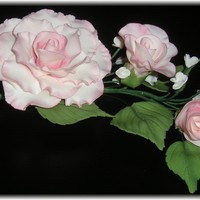 Classic Roses Tinted In Pink W/baby's Breath My first roses after taking a gumpaste class.