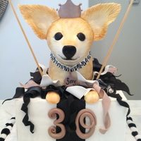 Chihuhua Birthday Cake 30th Birthday cake with clients dog popping out of a present, RKT dog, all other deco's are fondant