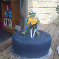 Tmnt Hey this was for my 6 yr old nephew he loves Teenage Mutant Ninja Turtles this was pretty easy to do my sister told me two days before the...