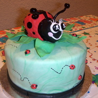Ladybug's Out And About.... Made this cake in 24hrs for my daughter's birthday,who absolutely loves LadyBugs :) . Ladybug is RKT and all decoration is Fondant....