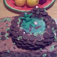 Frog Pond Cake White cake with chocolate buttercream frosting. I used candy melts for pond & made frog from fondant. Made for a friend at work. I was...