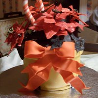 Pointsettia Took a class to learn to do this! Even made the cany cane. Everything edible! Great fun! I made several and gave them as gifts for the...