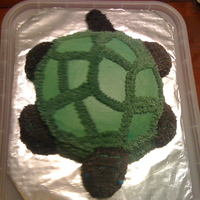 Turtle My turtle cake was for my wilton class and practicing the star tip. I hand carved the turtle and it took FOREVER to cover in those silly...