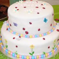 Lady Bug Birthday Cake Lady Bug cake for 1st birthday