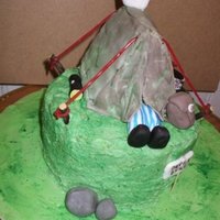 D Of E Camping Cake 