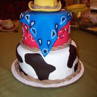 Cowboy Cake This was for a western themed party. I combined some ideas from photos of cakes i found on google images. But i didnt exactly copy one cake...