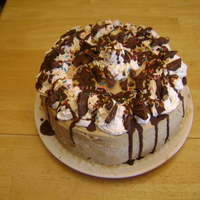 Ice Cream Cake This is an ice cream sundae cake I made for my son's birthday...It was gold cake with a banana split ice cream in the middle. Peanut...