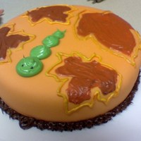 Maple Leaf Caterpillar 