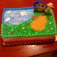 Strawberry Shortcake My sister in law called me frantic, apparently she ordered my nieces cake from coldstone and got a deco pack to have it decorated there,...