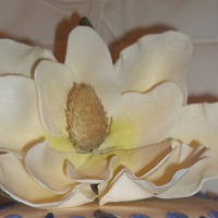 Magnolia my first Magnolia.For my son and daughter in law, 4th wedding anniversary cake.Cheese cake with strawberry filling covered with fondant