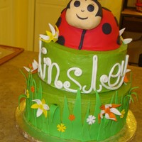 Ladybug Cake Almond cake w/cheesecake buttercream, fondant decorations.