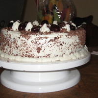 Black Forest Cake 