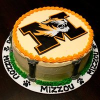 Mizzou Cake This was one of my first cakes. It was for a University of Missouri tail gate. I used Americolors to paint the tiger and I used white and...