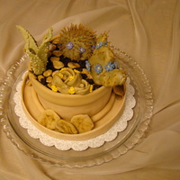 Desert Planter The cake is 6x4 coated and filled with BC. Fondant was used for everything else, with the exception of BC for aloe accents and flower...