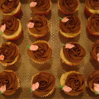 Chocolate Rose With Pink Rosebud Chocolate buttercream rose , tip 2D, covers top, with a royal icing pink rosebud.