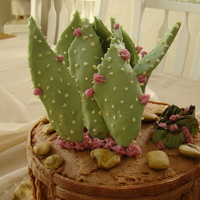 Desert Wedding Two tier 6x4 and 8x2 cakes, covered in chocolate buttercream. Plants are fondant with buttercream accents. Rocks are fondant. The plants...