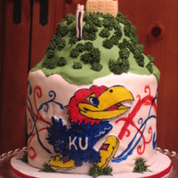 Jayhawk On The Hill For my son's birthday.. He's a huge KU fan...even at 2. He freaked out when he saw it
