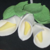 Gum Paste Lilly my first attempt at making gum paste and gumpaste flowers without using any proper tools... need to get some tools before i attempt them...