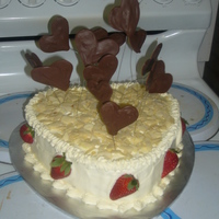 Heart Birthday Cake Just a really simple boiled chocolate cake. i have layerd it with fruits of the forrest jam and cream inside. just really simple...