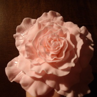 Gigantic Rose fondant rose