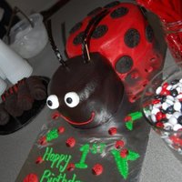 Ladybug Birthday Cake! Ladybug birthday cake! Used two 6" and 8" layers of smoothed buttercream (no fondant!), oreos for the spots, and black M&M&#...
