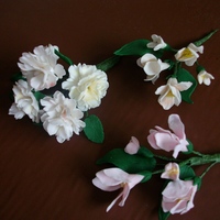 Flowers my first attempt at gumpaste flowers, i really enjoyed doing these, now for my next challenge, thanks to everyone on here for the tips and...