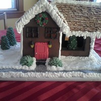 Gingerbread House I decided to go big or go home this year because there was a benefit for a friend who has cancer. We live in a very small town and someone...