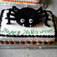 Dcfc0520 This is a cake that I did for my son's class. It is a chocolate cake with chocolate icing in the middle. The spider is made of an 8in...