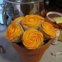 My First Attempt @ Cupcake Bouquet This was my first attempt at a Cupcake Bouquet I didnt finish the flower pot off like I wanted but overall I think it came out great!!